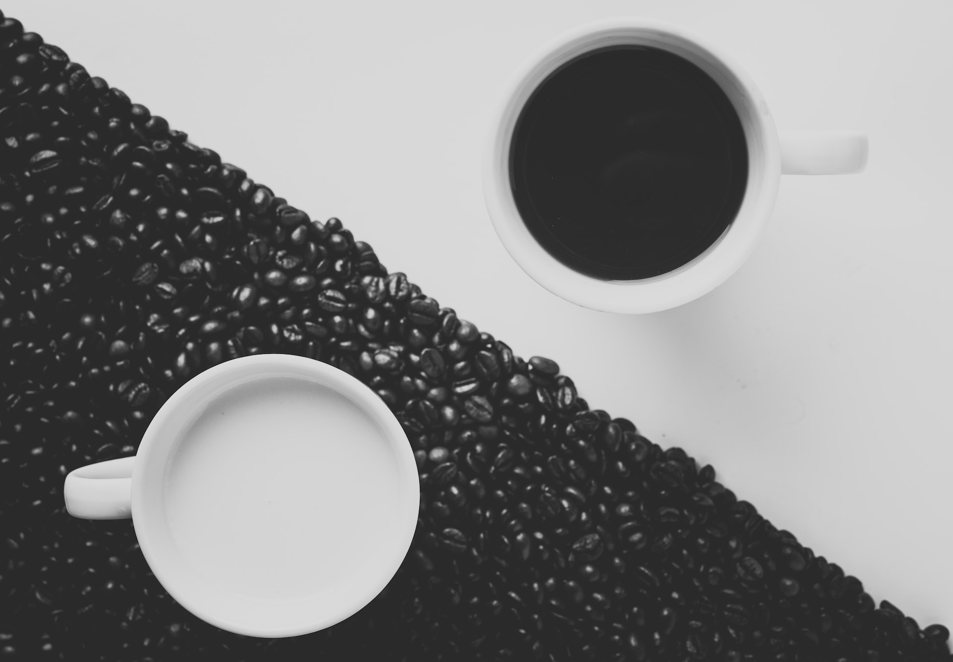 The Good and Ugly parts of SEO that no one tells you about.