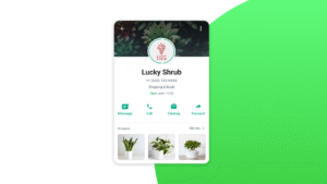 WhatsApp Business Nigeria start page